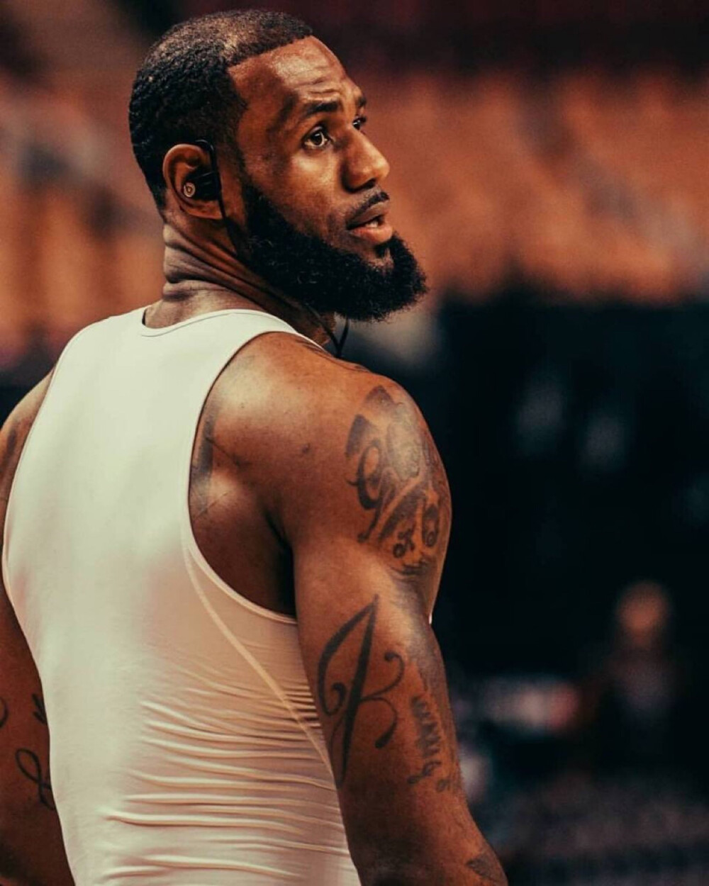 战术适配度 战术适配度